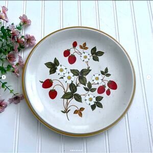 Vintage 1970s Strawberries ’n Cream Stoneware Dinner Plates Japan Set of 5